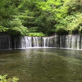 モモン様専用(その他)