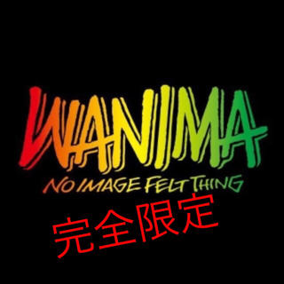 ワニマ(WANIMA)のWANIMA ワニマ ラスタ Tシャツ ブラック S ワンチャン 完全限定(ミュージシャン)