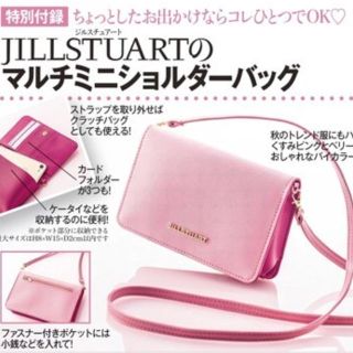 ジルスチュアート(JILLSTUART)の美人百花 付録 ジルスチュアート jill 付録(ポーチ)