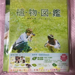 植物図鑑  運命の恋、ひろいました  初回豪華版  岩田剛典 岩ちゃん(日本映画)