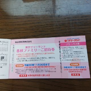 サマーランド フリーパス2枚(遊園地/テーマパーク)