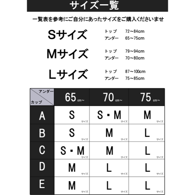 レスタリアージュ ナイトブラ レディースの下着/アンダーウェア(ブラ)の商品写真