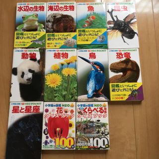 ショウガクカン(小学館)の小学館 NEO POCKET  11冊セット(絵本/児童書)