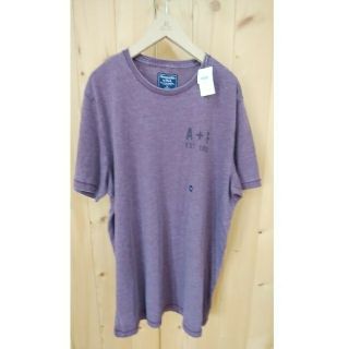 アバクロンビーアンドフィッチ(Abercrombie&Fitch)のアバクロテイシャツ(Tシャツ/カットソー(半袖/袖なし))