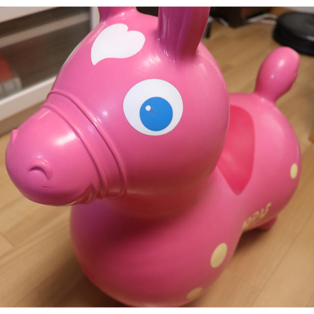 Rody(ロディ)のロディ★超美品★専用ポンプ付き キッズ/ベビー/マタニティのおもちゃ(その他)の商品写真