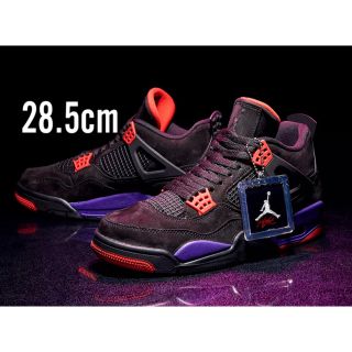 ナイキ(NIKE)のNIKE AIR JORDAN 4 RAPTORS エアジョーダン4 28.5(スニーカー)