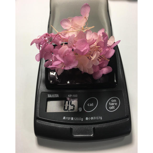 ハーバリウム花材詰め合わせ ハンドメイドのフラワー/ガーデン(プリザーブドフラワー)の商品写真