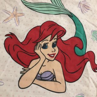 ディズニー(Disney)の専用💕(生地/糸)