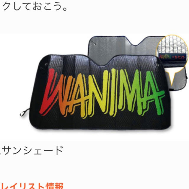 WANIMA 非売品 カーシェード サンシェードのサムネイル