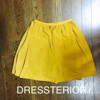 ドレステリア(DRESSTERIOR)のDRESSTERIORスカート(ひざ丈スカート)