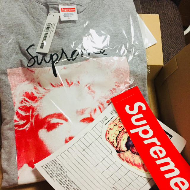 Supreme Madonna Tee マドンナ グレー L ティーシャツTシャツ/カットソー(半袖/袖なし)