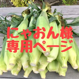 【訳あり・アウトレット・Ｂ品】ゴールドラッシュ（Ｍ～Ｌサイズ・18～20本入）(野菜)