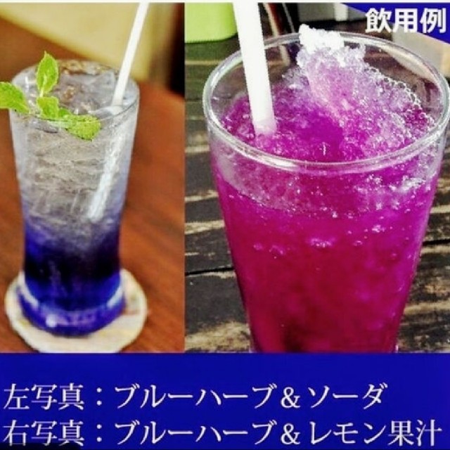 葉様専用！カフェ店内用美と若さを保つブルーハーブティーのお花ポット10杯分 食品/飲料/酒の飲料(茶)の商品写真