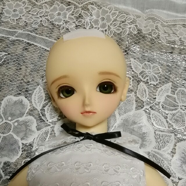 最も VOLKS - shop ゆき29's by おまけの通販 本体 ミミ SD少女 本体
