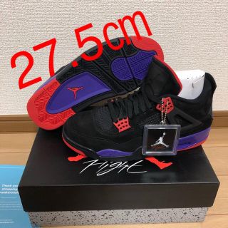 ナイキ(NIKE)の【27.5】AIR JORDAN 4 RETRO NRG "RAPTORS" (スニーカー)