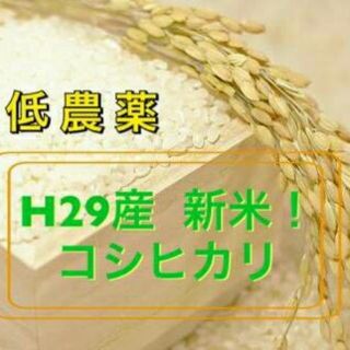 ちーず様専用‼会津産‼一等米コシヒカリ25kg‼(米/穀物)