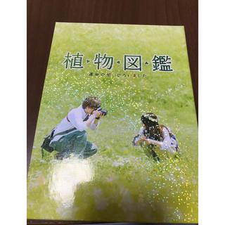 サンダイメジェイソウルブラザーズ(三代目 J Soul Brothers)の植物図鑑 DVD(日本映画)
