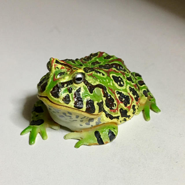 ベルツノガエル かえる フィギュア ガチャガチャ カエル ベルツノガエル かえる フィギュア ガチャガチャ カエル