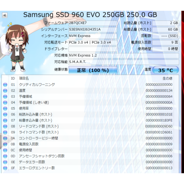 SAMSUNG 960EVO M2 250GB　起動確認のみ
