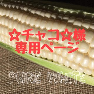 ☆チャコ☆様 専用ページ(野菜)