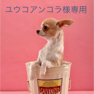 期間限定特価 新改良モデル 犬猫デザインフードボウル 新品送料込♡(猫)