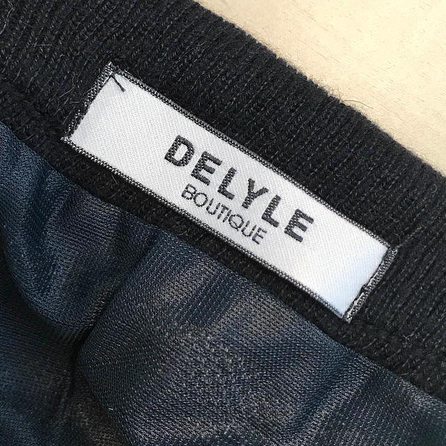 Delyle(デイライル)のDELYLE ミニスカート レディースのスカート(ミニスカート)の商品写真