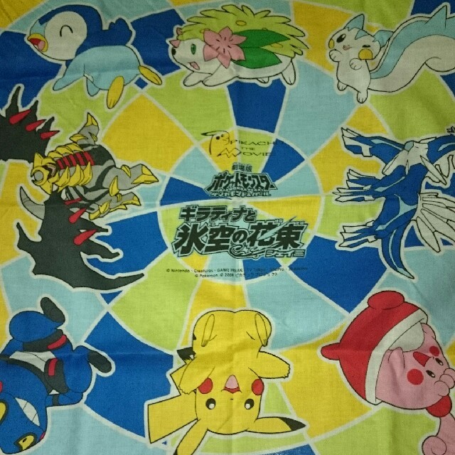 ポケモン ポケモン グッズの通販 By 虎 S Shop プロフ必読 ポケモンならラクマ