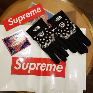 シュプリーム(Supreme)のK&Kさま専用Supreme × The North Face  grove
(登山用品)