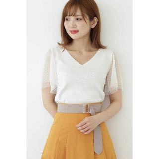 プロポーションボディドレッシング(PROPORTION BODY DRESSING)の🌷ドットチュールスリーブニット🌷(ニット/セーター)