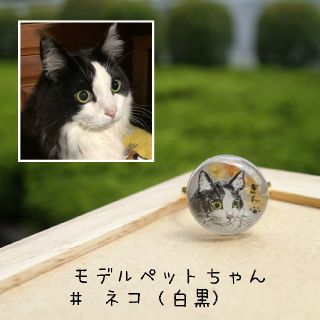 ★ペットの似顔絵★ 猫 ピアス イヤリング 指輪 イヤホンジャック(猫)