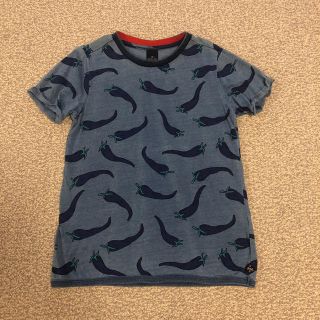 スコッチアンドソーダ(SCOTCH & SODA)のSCOTCH & SODA(Tシャツ/カットソー)