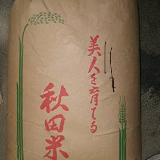 精米　あきたこまち　一等米　20キロ　秋田県産　米/穀物