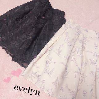 エブリン(evelyn)のevelyn SKセット (ひざ丈スカート)