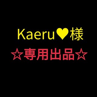 Kaeru♥様☆専用出品☆スタディープランナー(その他)