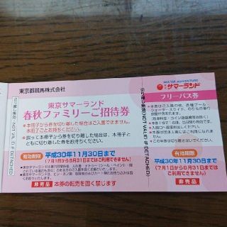 お得☆サマーランド春秋ファミリーご招待券2枚(遊園地/テーマパーク)