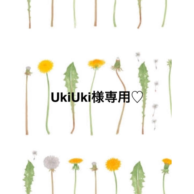 UkiUki様専用♡ - www.goldstandardpainting.com