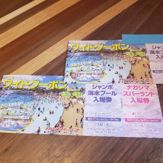 ナガシマスパーランド 　ワイドクーポン　2冊セット(遊園地/テーマパーク)