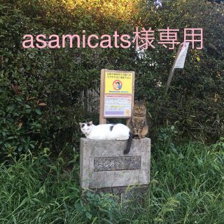 asamicats様専用(その他)