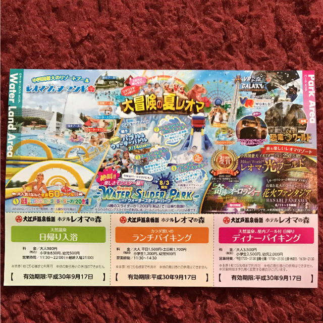 レオマワールド 優待券 2018 チケットの施設利用券(遊園地/テーマパーク)の商品写真