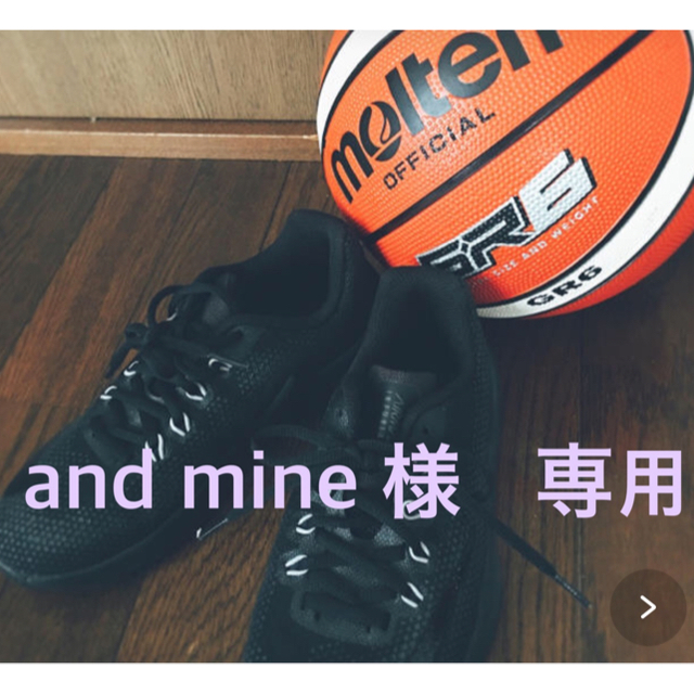 NIKE(ナイキ)の【未使用】バスケットボール&シューズ スポーツ/アウトドアのスポーツ/アウトドア その他(バスケットボール)の商品写真