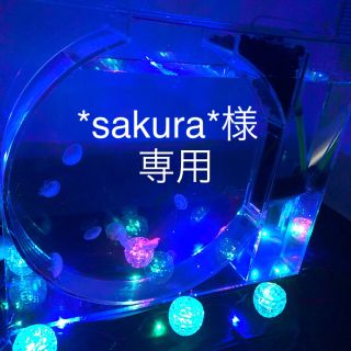 *sakura*様専用(その他)