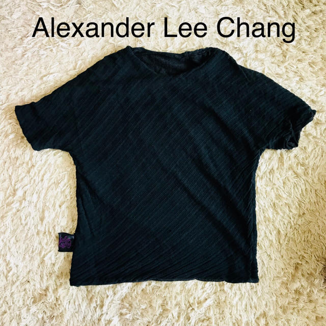 AlexanderLeeChang(アレキサンダーリーチャン)のAlexanderLeeChangアレキサンダーリーチャン黒リバーシブルTシャツ メンズのトップス(Tシャツ/カットソー(半袖/袖なし))の商品写真