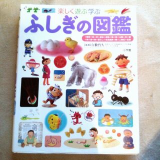 （小学館）プレNEO　ふしぎの図鑑(絵本/児童書)