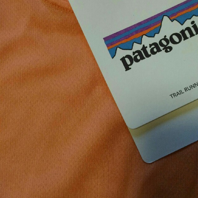 patagonia(パタゴニア)の専用　パタゴニア　Ｔ−シャツ レディースのトップス(Tシャツ(半袖/袖なし))の商品写真