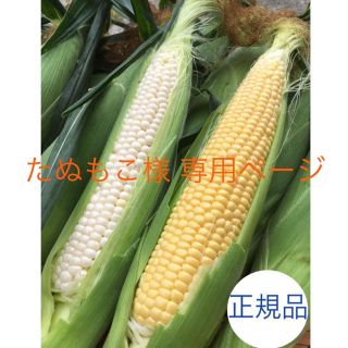 たぬもこ様 専用ページ(野菜)