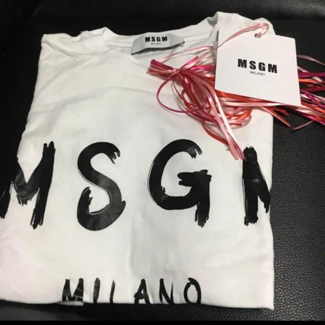 msgm tシャツ