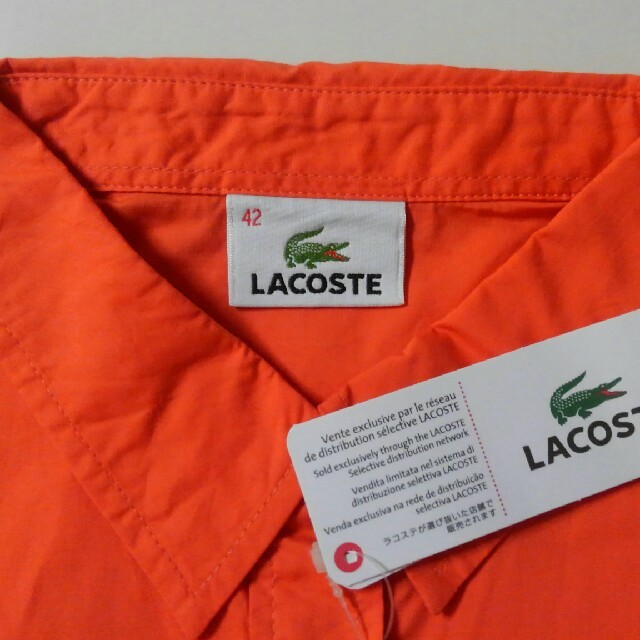 LACOSTE(ラコステ)の【Marry様専用】新品✨ラコステ＊LACOSTE 長袖シャツ(42) レディースのトップス(シャツ/ブラウス(長袖/七分))の商品写真