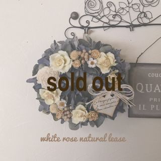 white rose natural lease(ドライフラワー)