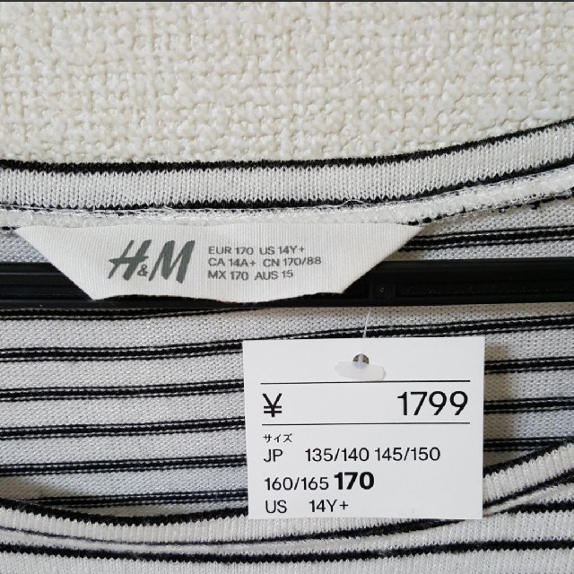 H&M(エイチアンドエム)の【新品】ボーダー ロンT レディースのトップス(Tシャツ(長袖/七分))の商品写真