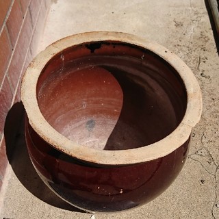 メダカ鉢(アクアリウム)